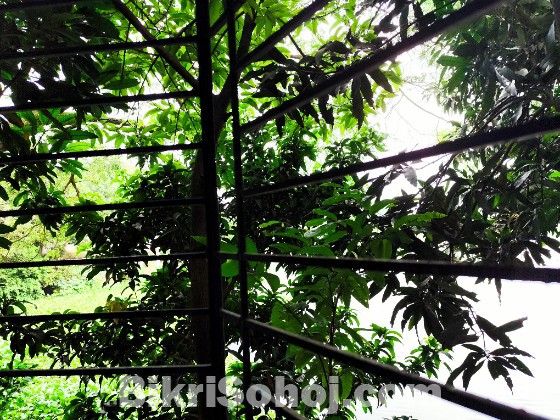 House with Land in Bhaluka for Sale